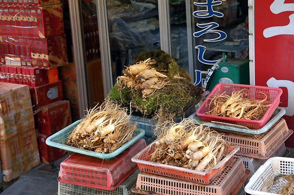 Nampo-dong Dried Fish Wholesale Market