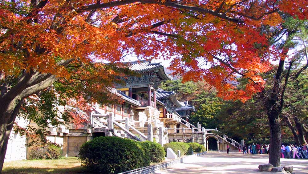 Bulguksa Temple in autumn dyed in bright red